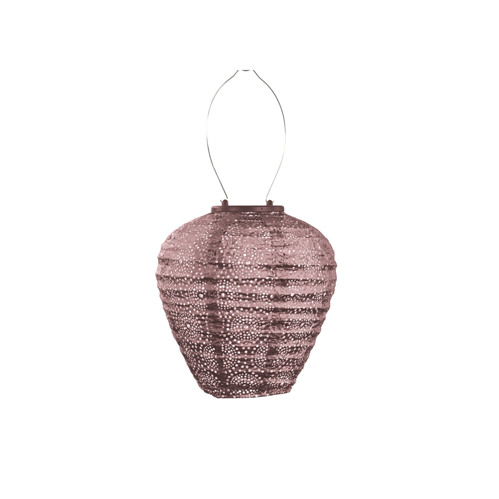 Solar-Lampion Okkult-Ballon – Pflaume