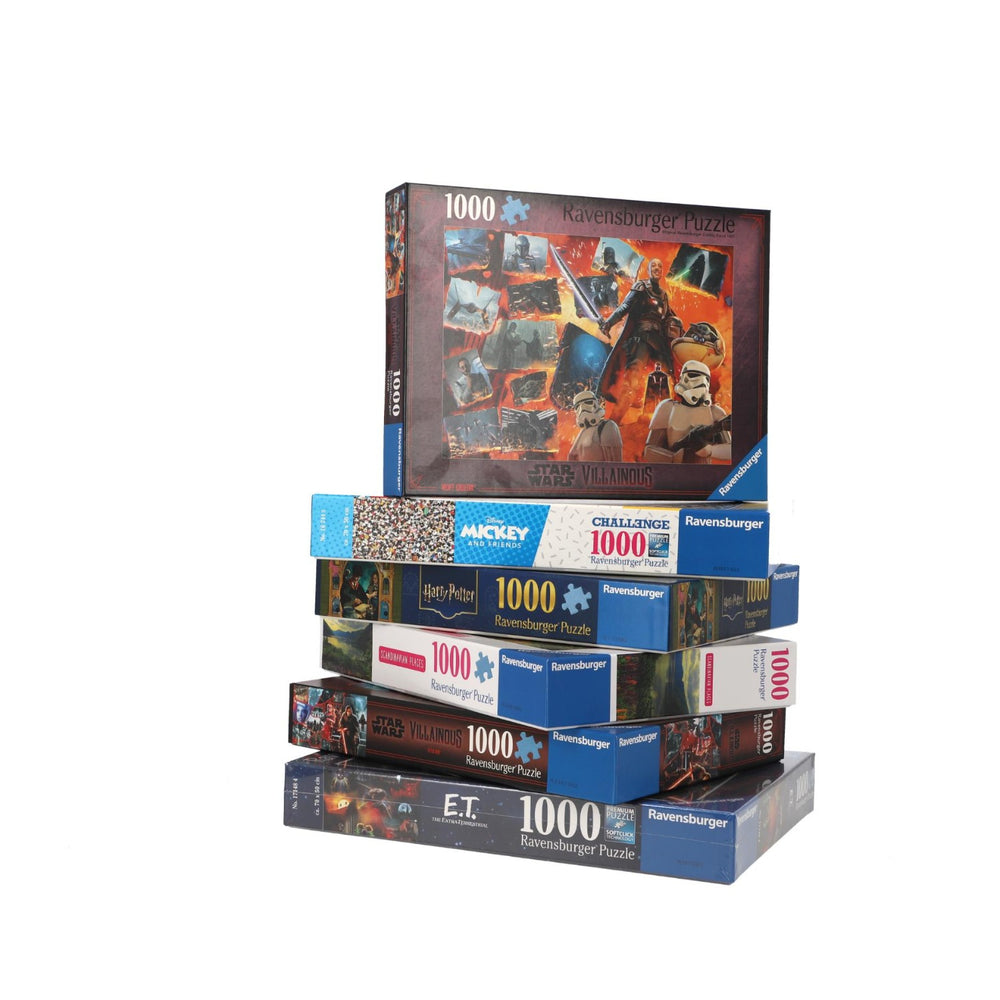 Puzzel 1000St