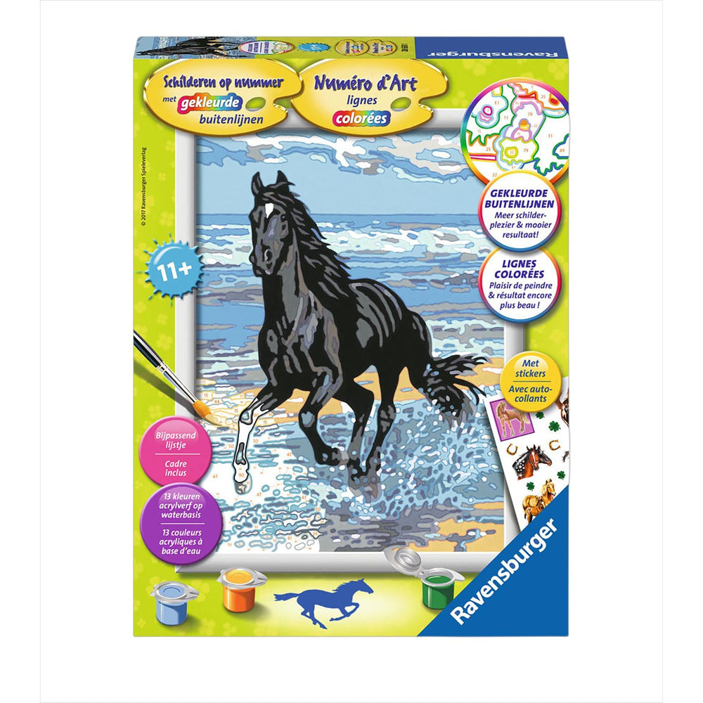 Schilder Op Nr Paard In De Branding