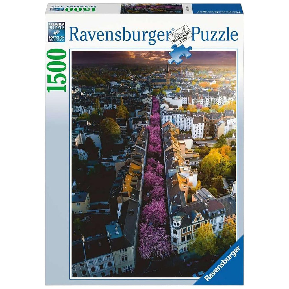Puzzel Bonn In Bloom 1500St