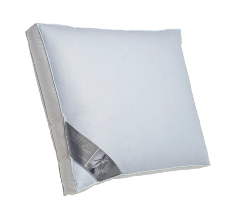 3-Kamer Eendendonzen Boxkussen 1000 gr - 60x70